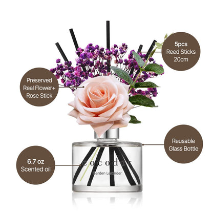 COCODOR Rose Flower Reed Diffuser/Rose Perfume/6.7oz(200ml)/1 Pack/ Reed Diffuser Set, Oil & Reed Diffuser Sticks, Home Decor & Office Decor, Fragrance and Gifts